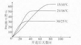温度对小麦灌浆期子粒干重的影响研究